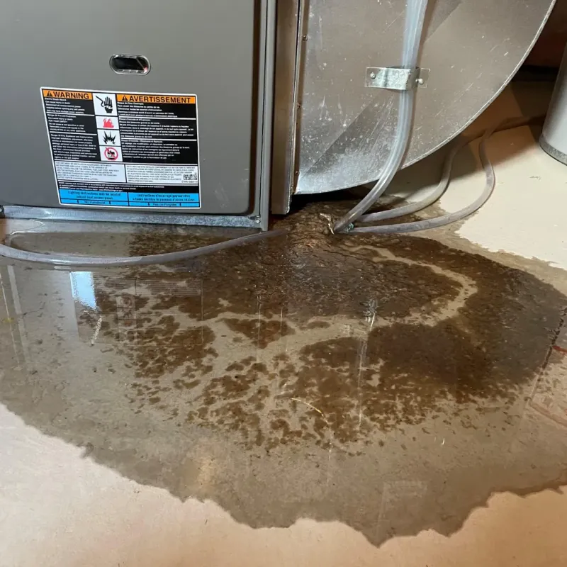 Appliance Leak Cleanup in Glandorf, OH